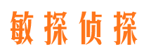 新余市调查公司